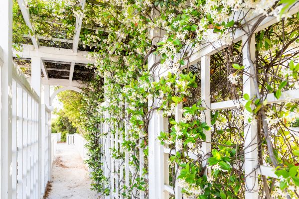Cost of Trellis Repair in Sheboygan