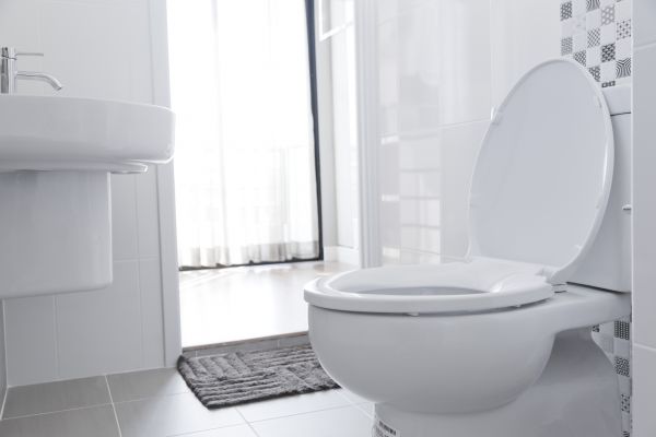 Cost of Toilet Seat Installation in Sheboygan