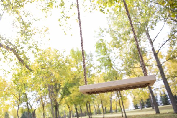 Cost of Swing Installation in Sheboygan