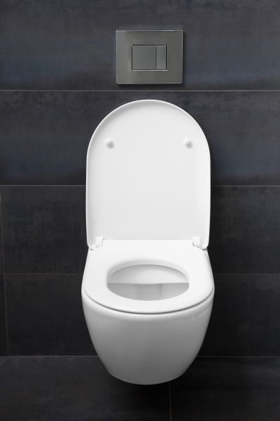 Cost of Toilet Lid Installation in Sheboygan