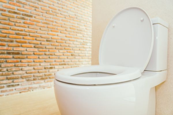 Cost of Toilet Seat Repair in Sheboygan