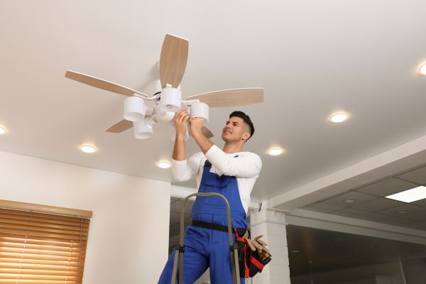 Cost of Ceiling Fan Bulb Replacement in Sheboygan