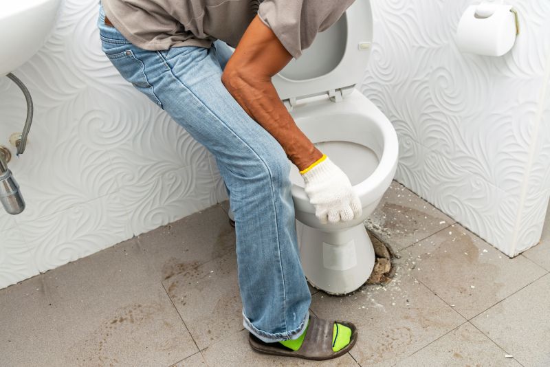 Toilet Seat Installation