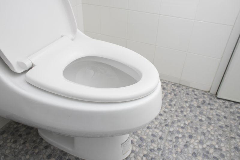 Toilet Seat Installation